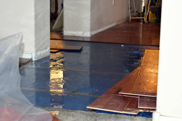 Professional Water Damage Restoration technician working in Raleigh, NC