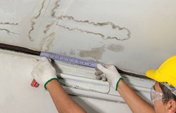 Reliable Water Damage Restoration contractor in Raleigh, NC by Water Damage Irwin